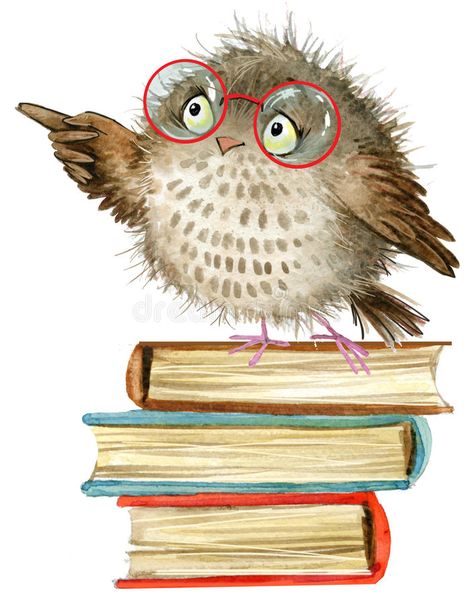 Owl. cute owl. watercolor forest bird. school books illustration. cartoon bird. Owl. cute owl. watercolor forest bird. school illustration. cartoon bird royalty free illustration Owl Watercolor, School Illustration, Owl Illustration, Cartoon Birds, Bird Book, Owls Drawing, Owl Cartoon, Cartoons Love, Wall Stickers Kids