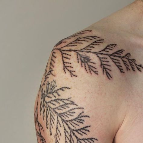 Cedar Leaf Tattoo, Cedar Branch Tattoo, Cedar Tattoo, Customizing Clothes, Botanical Sleeve, Plus Size Tattoos, Cedar Branch, Whimsical Tattoos, Flamingo Tattoo