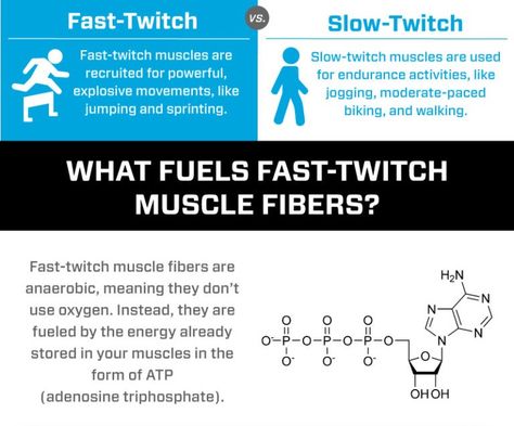 Workouts That Engage Fast-Twitch Muscles | EōS Fitness Athletes Diet, Muscle Workout, Exercise Physiology, Plyometric Workout, Heavy Weight Lifting, Local Gym, Olympic Lifting, Heavy Weights, Muscle Training