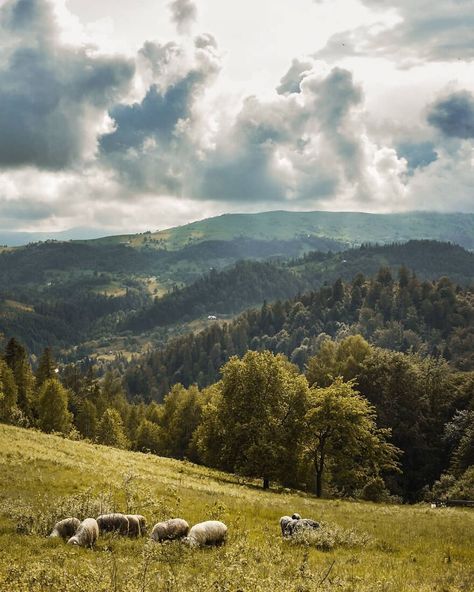 The Ukrainian Carpathians In Autumn Inspired Me To Capture These Photographs (38 Pics) Ukraine Nature, Sunrises And Sunsets, Ann Voskamp, Carpathian Mountains, Palette Design, Autumn Inspired, Sun Rises, Ukrainian Art, Best Sunset