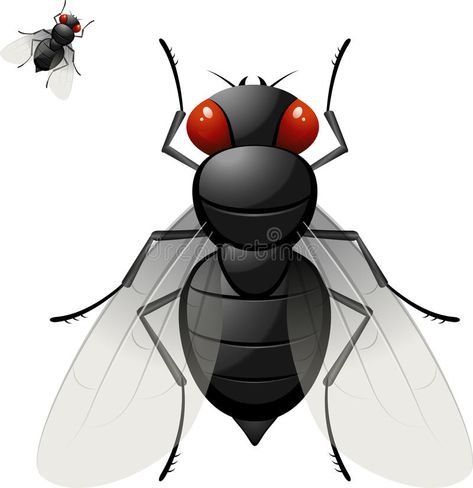 Housefly. Over white. EPS 10 , #sponsored, #white, #Housefly, #EPS #ad Transparent Png, Free Vector Images, Vector Design, Stock Images Free, Adobe Illustrator, Stock Illustration, Spiderman, Vector Images, Vector Free