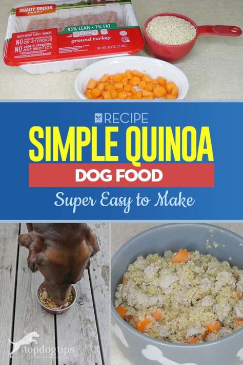 Simple Quinoa, Dog Food Recipes Crockpot, Easy Turkey Recipes, Quinoa Recipes Easy, Dog Food Recipe, Best Superfoods, Diy Dog Food, Make Dog Food, Healthy Dog Treats Homemade