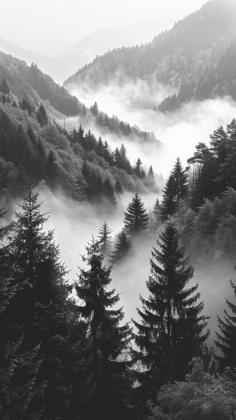 Image Black And White Photography Nature, Inspirational Digital Art, Dark Forest Aesthetic, Foggy Mountains, Forest Tattoos, Beautiful Wallpapers For Iphone, Scenery Photography, Nature Mountains, Black And White Photograph