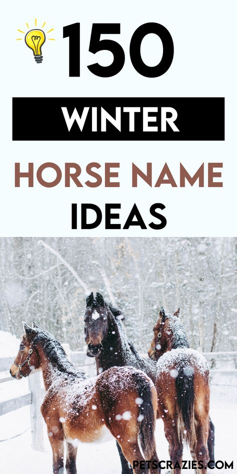 Discover 150 winter horse name ideas perfect for the snowy season! From frosty-inspired names to holiday-themed classics, find the ideal name for your horse. Cool Horse Names, Unique Horse Names, Horse Name Ideas, Winter Horse, Horse Names, Name Ideas, Cool Names, Horses