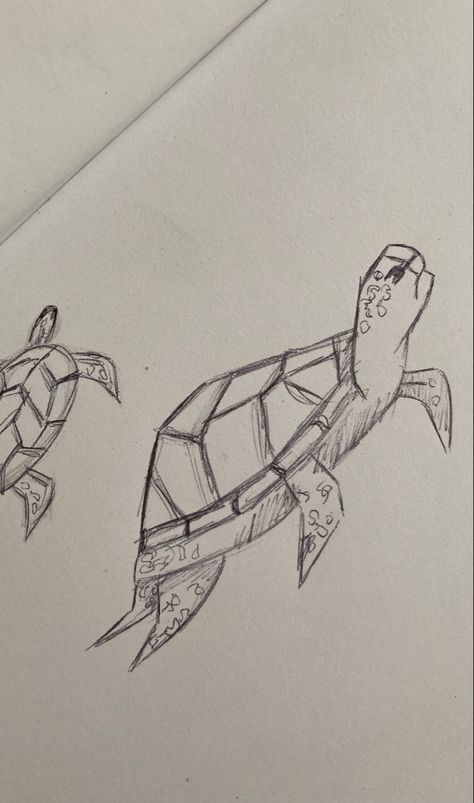 Turtle Drawings Sketches, Aesthetic Turtle Drawing, Things To Draw Turtle, Turtle Aesthetic Drawing, Marine Sketch, Turtles Cute, Turtle Sketch, Bone Drawing, Knife Drawing