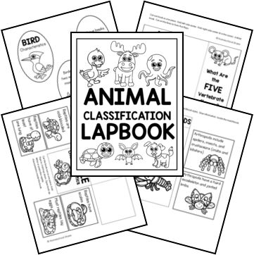 Animal Classification Worksheet Free Printable, Animal Classification Anchor Chart, Animal Classification Project, Animal Classification For Kids, Animal Taxonomy, Animal Classification Activity, Animal Classification Worksheet, Classification Of Animals, Science Corner