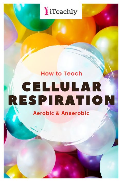 BIOLOGY - HIGH SCHOOL TEACHER - TEACHER RESOURCES - SCIENCE CLASS - SCIENCE LESSONS - How to teach Cellular Respiration - The phrase “cellular respiration” can make even the most experienced Biology teacher shudder. Click now to discover this free science lesson that includes a science video perfect for your High School or Homeschool classroom! #iteachly #biology #sciencevideos #highschool #sciencelesson #biologylesson #freesciencelesson #teacherresources Biology Lesson Plans, Instructional Activities, Science Homeschool, Science Video, School Biology, Cellular Respiration, High School Biology, Science Lesson, Biology Teacher