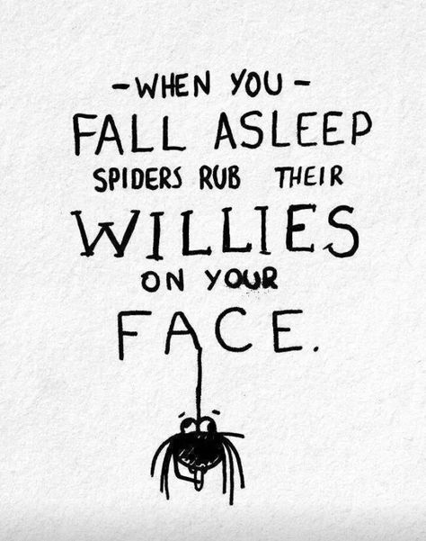 spiders rub their willies on your face while you sleep When You Sleep, Have A Laugh, Fall Asleep, A Drawing, Spiders, Bones Funny, Make You Smile, Make Me Smile, How To Fall Asleep