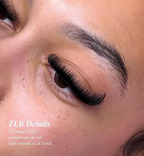 Lash Babe, Lash Lengths, Lash Therapy, Lashes Ideas, Lash Ideas, Lash Maps, Lash Map, Lashes Tutorial, Lashes Fake Eyelashes