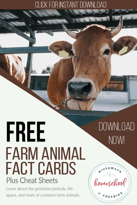 FREE Cheat Sheets and Fact Cards for Farm Animals. #freehomeschooldeals #fhdhomeschoolers #farmanimals #farmanimalcheatsheets #farmanimalfactcards Organized Homeschool, Farm Facts, Homeschool Binder, Writing Printables, Homeschool Lessons, Farm Unit, Farm School, Homeschool Freebies, History Curriculum