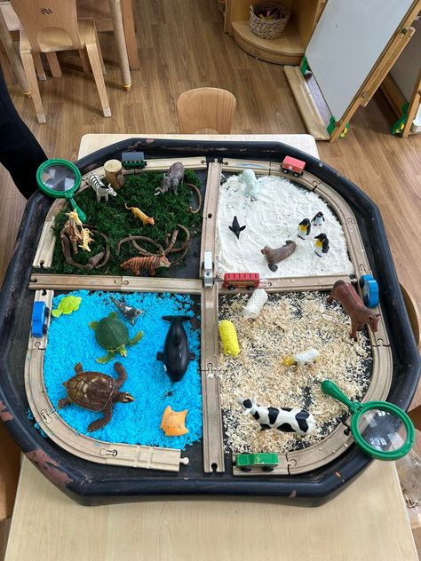 Hibernation Tuff Tray Ideas, Animal Provocations Preschool, Zoo Tuff Tray, Animal Tuff Tray Ideas, Animal Tuff Tray, Nursery Tuff Tray Ideas, Daycare Learning Activities, Sensory Tuff Tray Ideas, Preschool Provocations