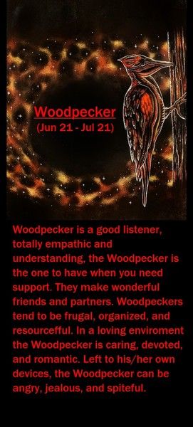 Native American Zodiac Woodpecker, Native American Zodiac, Animal Medicine, Birth Chart Astrology, First Peoples, Portfolio Images, Aliens And Ufos, Good Listener, The First Americans