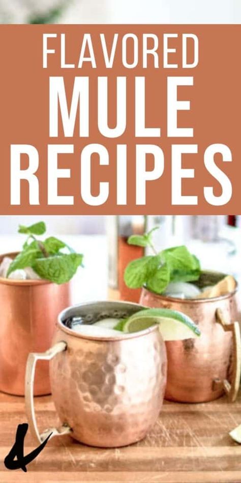 Easy Moscow Mule Recipe, Irish Mule Recipe, Boujee Brunch, Mule Variations, Mule Drink Recipes, Amaretto Drinks Recipes, Moscow Mule Variations, Recipes With Ginger, Moscow Mule Drink Recipes