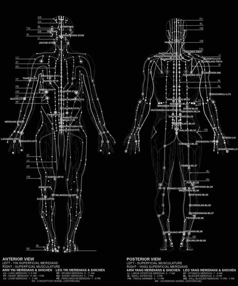 Picture Of Body, Meridian Acupuncture, Meridian Lines, Pressure Point Therapy, Chiropractic Clinic, Acupuncture Points, Pressure Points, Yoga For Men, Chinese Medicine