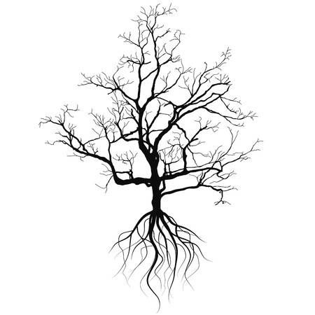 Rooted Tree Tattoo, Bare Tree Tattoo, Creepy Tree Tattoo, Tree With Roots Tattoo, Poison Tree Tattoo, Tree Silhouette Tattoo, Tree Roots Tattoo, Tree Branch Tattoo, Tree Tattoo Back