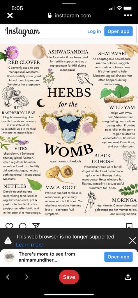 Herbs For Fertility, Kitchen Witch Recipes, Womb Healing, Tea Cleanse, Balance Hormones Naturally, Fertility Boost, Feminine Health, Herbal Tea Blends, Herbs For Health