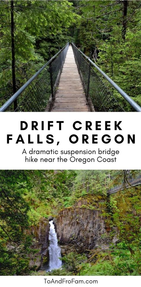 Trail Of 10 Falls Oregon, Oregon Hiking Trails, Oregon Coast Hikes, Oregon Coast Roadtrip, Pnw Adventures, Old Growth Forest, Oregon Trip, Oregon Life, Oregon Hikes