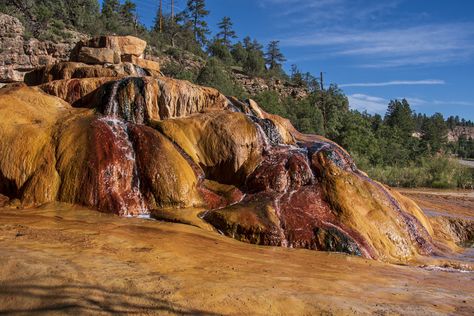 5 Amazing Things To Do in Durango, Colorado, for Under $20 - Drivin' & Vibin' Durango Hot Springs, Things To Do In Durango Colorado, Kokanee Salmon, Best Rv Parks, Fish Hatchery, Durango Colorado, Family Photo Album, Free Camping, Unique Experiences