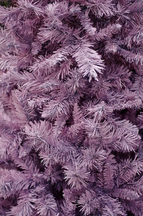 Pocket Full of Whimsy: DIY | Custom Christmas Tree Navidad Pink, Lavender Christmas, Purple Christmas Tree, Beyond Blessed, Christmas Tree Painting, Purple Christmas, The Flood, Holiday Christmas Tree, Post Traumatic