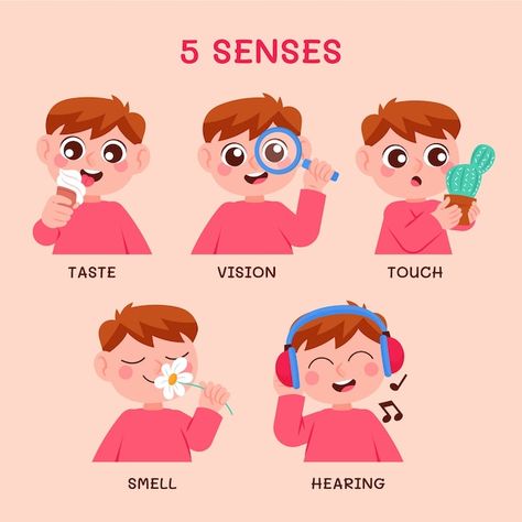 Free vector hand drawn 5 senses illustra... | Free Vector #Freepik #freevector #five-senses #senses #eye-illustration #hand-drawn-illustration 5 Senses Illustration, Senses Illustration, My 5 Senses, Senses Activity, Sense Organs, Classroom Charts, Senses Activities, Eye Illustration, 5 Senses