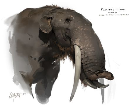 Leading artists from Gnomon's free Animal show give their tips for creating better creature concept art. Prehistoric Illustration, Prehistoric Mammals, Prehistoric Wildlife, Prehistoric World, Ancient Animals, Prehistoric Art, Paleo Art, Extinct Animals, Dinosaur Art