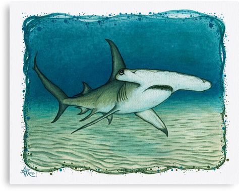 Hammerhead Painting, Hammerhead Shark Painting, 2022 Shoe, Great Hammerhead Shark, Underwater Mural, Shark Watercolor, Endangered Species Art, Shark Finning, Hammerhead Sharks