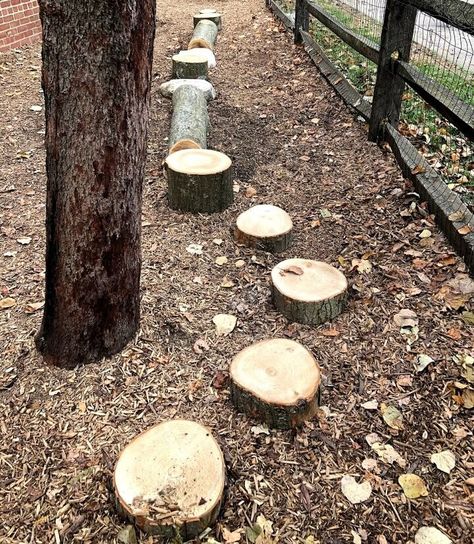 Outdoor Natural Obstacle Course, Log Obstacle Course, Nature Obstacle Course, Fairy Obstacle Course, Kids Obstacle Course Outdoor, Forest Obstacle Course, Natural Obstacle Course, Backyard Obstacle Course For Kids, Outdoor Obstacle Course