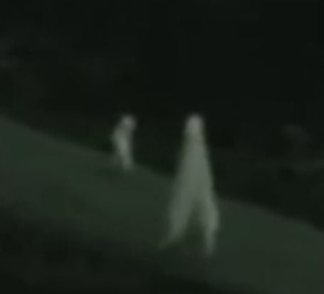 Unraveling the Mysteries of the Fresno Nightcrawlers: Fact or Fiction? - Any Mystery The Fresno Nightcrawler, Real Cryptid Photos, Fresno Nightcrawler Art, Cryptidcore Moodboard, Cryptid Pfp, Cryptids Aesthetic, Cryptid Photos, Cryptid Hunter Aesthetic, Cryptid Christmas