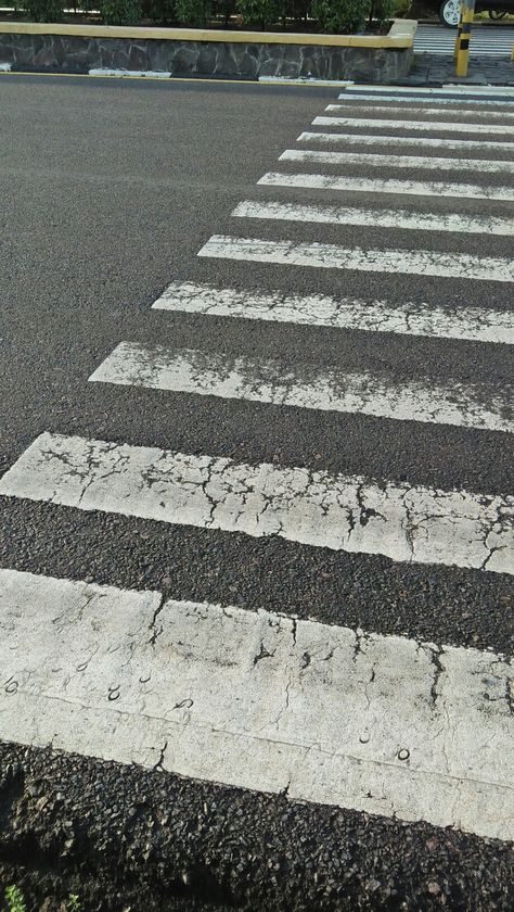 Zebra Cross, Tropical Safari, Zebra Crossing, Street Photo, Quick Saves