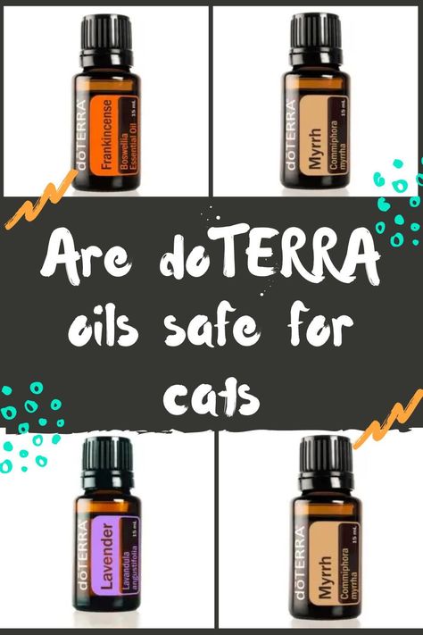 Essential Oils For Cats, Diffuser Blends Safe For Cats, Essential Oils Toxic To Cats, Essential Oil Blends Safe For Cats, Essential Oils For Cats Calming, Essential Oils To Calm Cats, Doterra Oils Safe For Cats, Essential Oils For Fleas, Doterra Blends