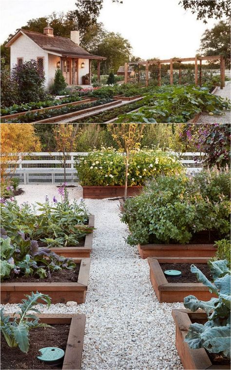 7 best vegetable garden layout ideas on soil, sun orientations, spacing, edible planting varieties, plans & design secrets to create productive & beautiful kitchen gardens. - A Piece of Rainbow #kitchengarden #potager #ediblegarden #vegetablegardening #backyard #gardens #gardening backyard, landscaping, gardening tips, #urbangardening #gardendesign #gardenideas #containergardening #DIY #homestead homesteading #gardeningtips #trellis #verticalgarden Joanna Gaines Garden, Beds Diy, Backyard Garden Layout, Garden Layout Vegetable, Potager Garden, Garden Design Layout, The Secret Garden, Vegetable Garden Design, Garden Layout