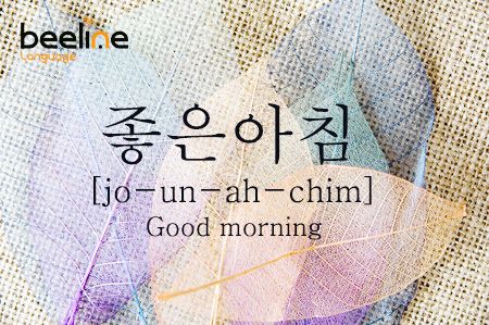 How to say Good morning in Korean South Korean Language, Korean Reading, Learn To Speak Korean, Say Good Morning, Speak Korean, Korean Numbers, Learn Basic Korean, Korean Hangul, Language Korean