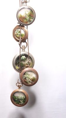 Pocket Watch terrariums for car review mirrors! Hobbit Terrarium, Plants Beautiful, Plant Party, Toyota Car, Driving Home, Terrarium Jewelry, Miniature Gardens, Deco Originale, Garden Terrarium