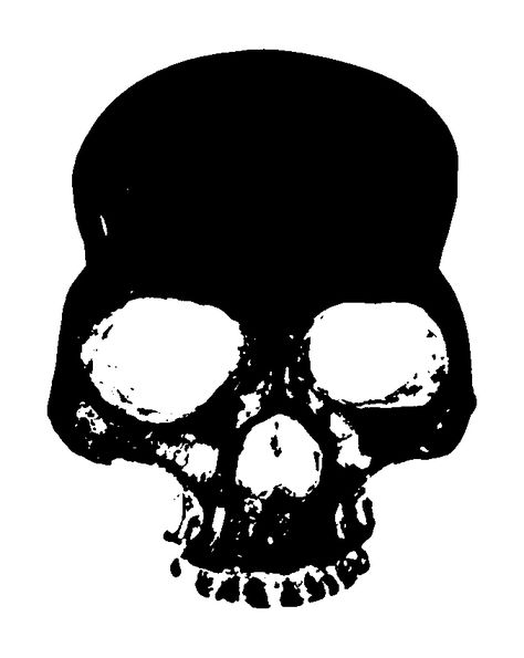 Punk Skull Drawing, Skull Pfp, Punk Skull Art, Skull Y2k, Crust Punk Stencil, Punk Skull Tattoo, Graphic Skull Design, Y2k Skull, Skull Graphic Design