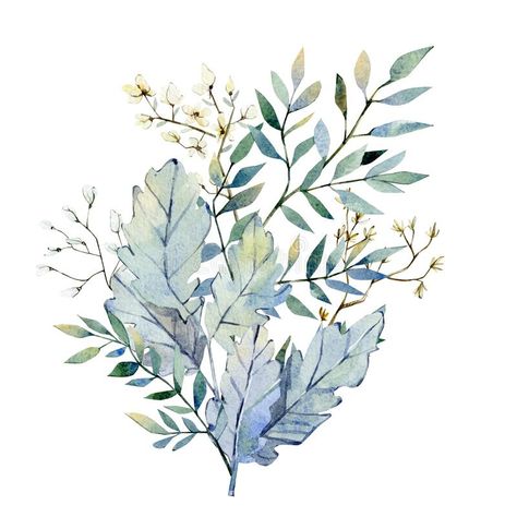 Watercolor greenery bouquet lunaria branches and twigs with flowers. Botanical floral, winter bouquet, Christmas floral for design. Logo, web pages, wedding royalty free illustration Christmas Floral Designs, Bouquet Christmas, Greenery Bouquet, Winter Bouquet, Watercolor Greenery, Flowers Botanical, Winter Illustration, Winter Watercolor, Flower Sketches