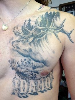 Bull Elk Tattoo, Idaho Tattoo Ideas, Elk Tattoos, Elk Tattoo, Elk Pictures, Stag Tattoo, Wildlife Tattoo, Hunting Tattoos, Bison Art