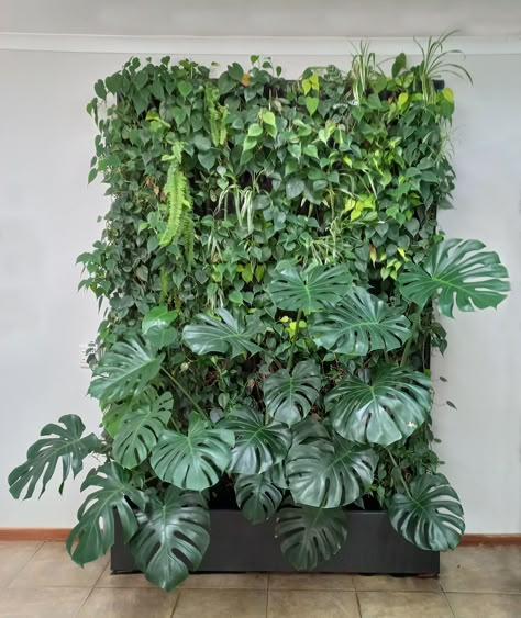 Vertical Plant Wall Outdoor, Indoor Vertical Garden Wall, Diy Living Wall, Wall Of Plants, Tropical Plant Wall, Artificial Plant Decor, Vertical Wall Garden, Indoor Office Plants, Vertical Gardening Ideas