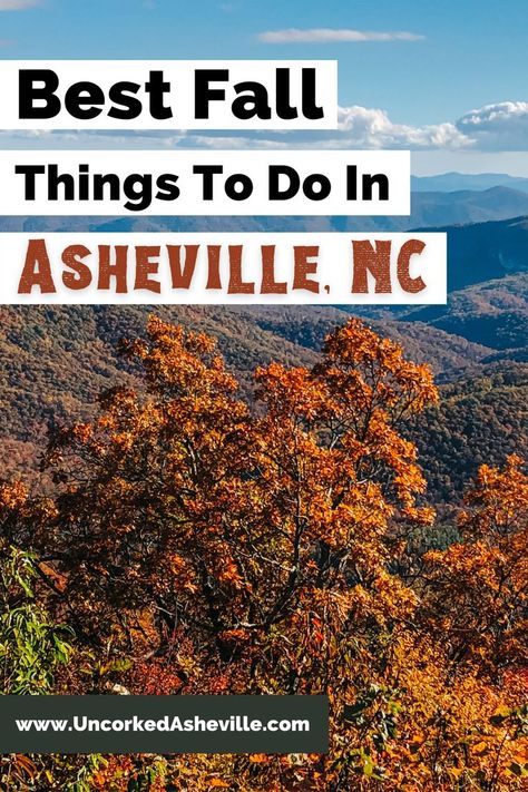 Best Asheville Fall Things To Do Pinterest Pin with fall foliage along the Blue Ridge Parkway Asheville Fall, Things To Do In October, Fall Festival Activities, Things To Do In Asheville, North Carolina Attractions, Seasonal Cocktails, Craggy Gardens, Usa Places To Visit, Apple Orchards