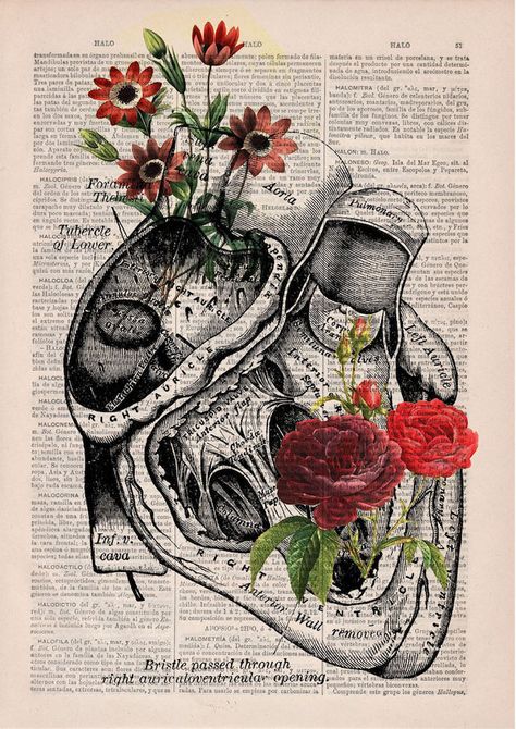 Book Page, Anatomy, Science, Human, Flowers, Wall, Art