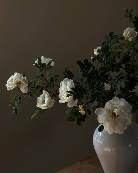 Emily Slotte: ig Flowers In A Vase Aesthetic, Vase Aesthetic, Flowers In A Vase, Nothing But Flowers, Flower Therapy, Luxury Flowers, White Aesthetic, Green Aesthetic, Love Flowers