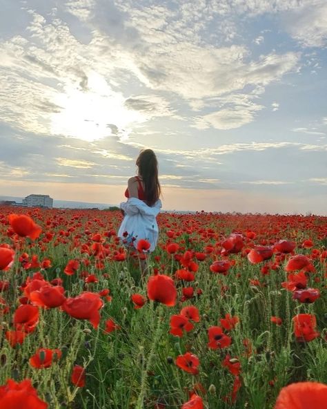 Red landscape Poppy Field Photoshoot, Poppy Pictures, Field Photoshoot, Poppy Fields, Poppy Field, Grad Photos, Photoshoot Ideas, Photo Ideas, Poppies