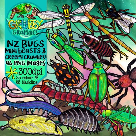 Velvet Worm, Art Insects, Waitangi Day, Bug Hunt, Mini Beasts, Stick Insect, Praying Mantis, Creepy Crawlies, Insect Art