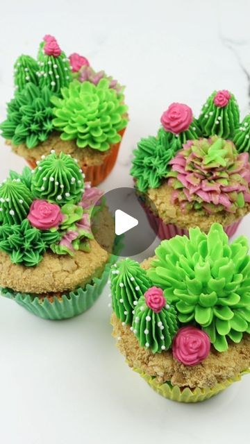 Liz Nicolaou on Instagram: "Succulent Cupcakes 🌵🌺  Hybrid buttercream in my recipe highlights (first recipe) 😊  @wiltoncakes piping tips used: 81 18 68 8B  Tools used linked to my amazon storefront (link in bio)   White pixie pearls from @sweet.stamp - use code LOVE10 for 10% off at sweetstamp.online   #cupcakes #cupcakedecorating #succulents" Cake With Succulents, Buttercream Icing Cake, Cactus Cupcakes, Succulent Cupcakes, Buttercream Icing, Piping Tips, Amazon Storefront, Cake Baking, Cupcakes Decoration