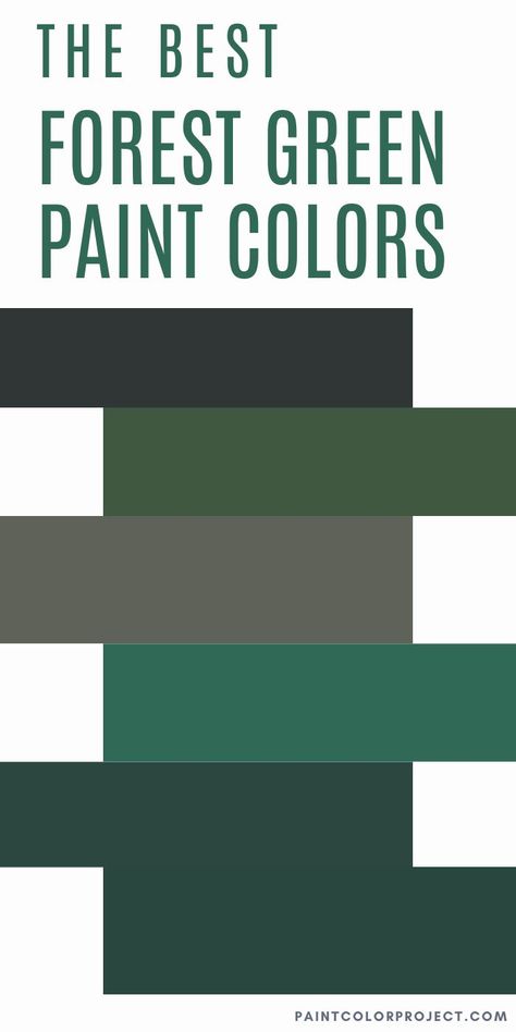 Forest Green Paint Colors Sherwin Williams, Evergreens Sherwin Williams, Best Forest Green Paint Colors, Benjamin Moore Forest Green, Sherwin Williams Evergreens, Evergreen Color, Forest Green Paint Color Behr, Verdant Forest Behr Paint, Forest Green Paint