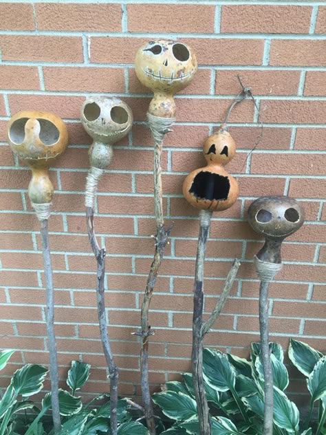 Started my Halloween gourds-on-a-stick! : halloween Gourd Snake Art, Halloween Gourds Ideas, Small Pumpkin Carving Ideas Easy, Gourd Mushroom, Pumpkin Carving Ideas Easy Cute, Small Pumpkin Carving, Small Pumpkin Carving Ideas, Pumpkin Carving Ideas Easy, Halloween Hands