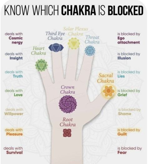 Chakras And Meanings, Unblocking Chakras For Beginners, Unblock Chakras, How To Unblock Chakras, Chakra For Beginners, Healing Chakras, 50 Tattoo, Chakra Chart, Chakra Healing Meditation