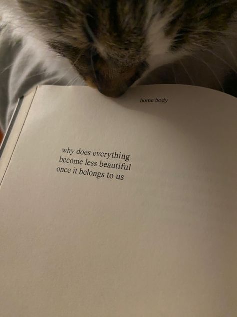 Poems About Lies, Poetry About Animals, Cat Aesthetic Quotes, Animal Poetry, Cat Poetry, Cat Quotes Instagram, Cute Cat Quotes Aesthetic, Cats Aesthetic Quotes, Canine Poetry