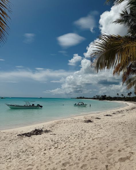 El paraíso dominicano se llama Isla Saona 🏝️ #islasaona #viajar #republicadominicana #puntacana #bayahibe #manojuan #excursionpuntacana #excursionesrepublicadominicana Saona Island, Mariana Islands, Punta Cana, Llama