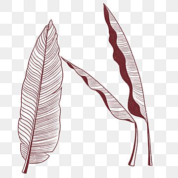 Banana Leaves Tattoo, Banana Leaf Drawing, Banana Leaf Tattoo, Line Drawing Plant, Leaf Line Drawing, Plant Sketch, Banana Leaf Pattern, Leaves Sketch, Leaf Png