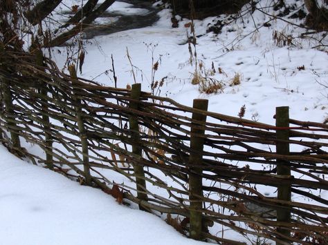 ooh, another small DIY fence.   if only i'd saved all those branches... Twig Fence, Natural Fences, Wattle Fence, Rustic Fence, Living Fence, Brick Fence, Lattice Fence, Types Of Fences, Diy Fence